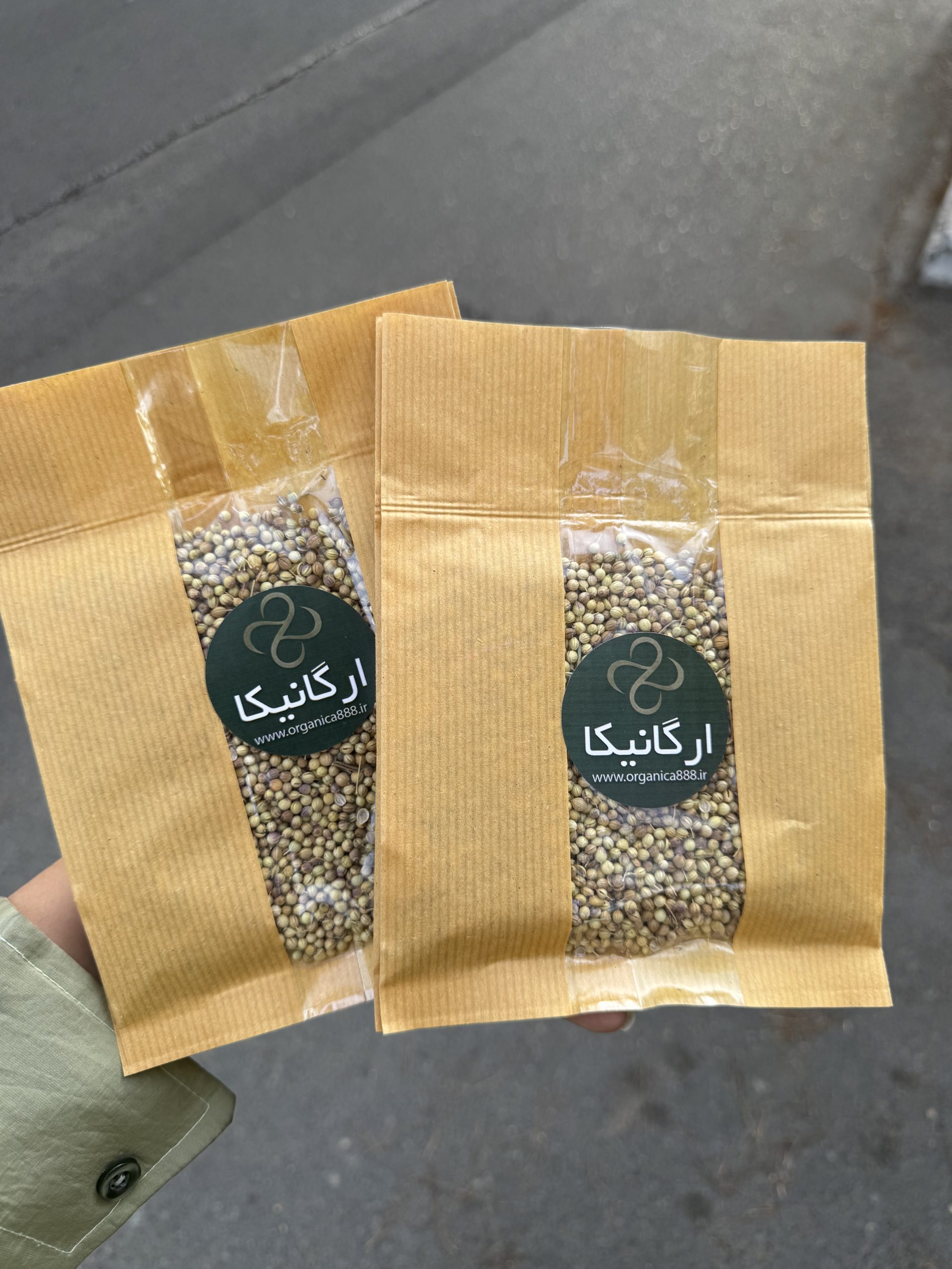 تخم گشنیز